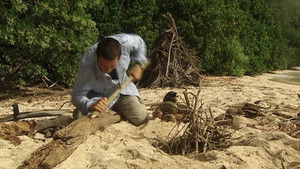 9 -  Ilha deserta
