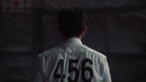 6 - Humanos